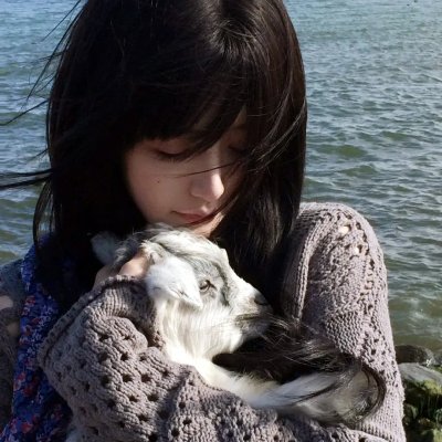 双面君王 海报